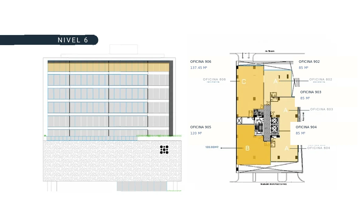 Elevación y plano de N6 · Corporativo Ejecutivo en Torre Auro